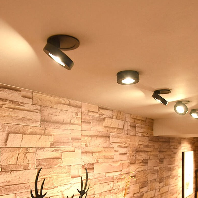 Surface Mounted LED Ceiling Downlight Built In Spot Light