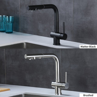 Augustus - Pull Out Kitchen Filtered Dual Sprayer Tap