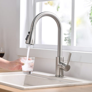 Alijah - Single Hole Pull Out Spout Sink Mixer Tap