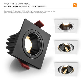 Russell - Angle Adjustable Recessed Ceiling Down Light