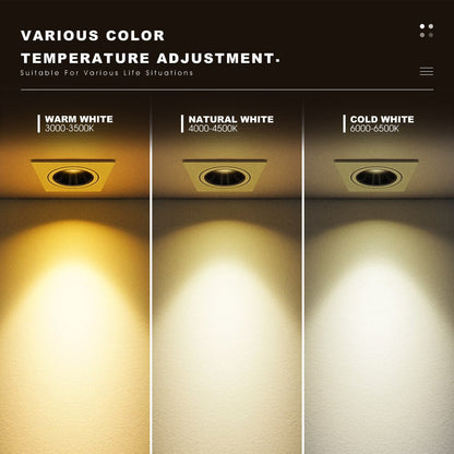 Russell - Angle Adjustable Square Modern Recessed Ceiling Down Light